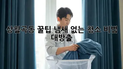 상월곡동 꿀팁🍯 냄새 없는 청소 비법 대방출! ✨