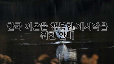 한국 이혼율, 행복한 재시작을 위한 안내